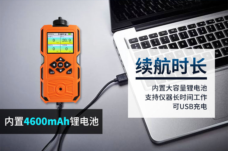 氮氣濃度檢測報警儀 氮氣濃度檢測報警儀